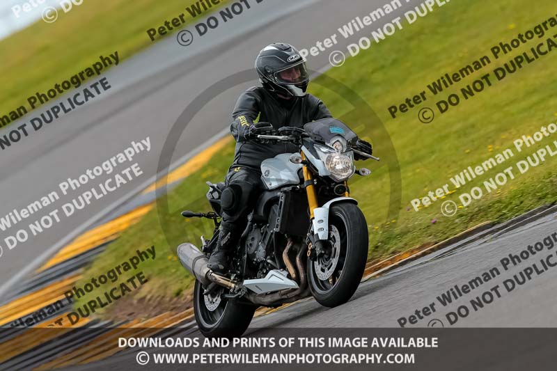 PJ Motorsport 2019;anglesey no limits trackday;anglesey photographs;anglesey trackday photographs;enduro digital images;event digital images;eventdigitalimages;no limits trackdays;peter wileman photography;racing digital images;trac mon;trackday digital images;trackday photos;ty croes